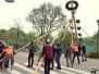 Maibaum 2022